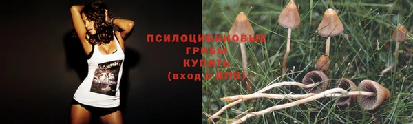 2c-b Нея