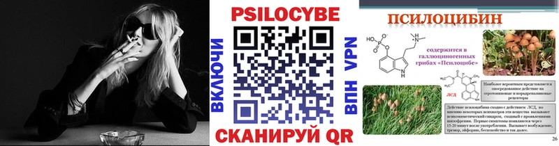 Галлюциногенные грибы Magic Shrooms  Купить  Козловка 